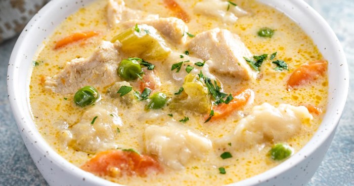 Instant pot chicken and dumplings