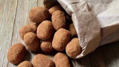 Coconut free irish potatoes candy