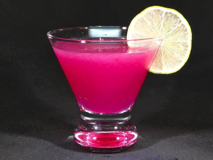 Prickly pear cactus margarita