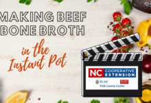 Beef bone broth in the instant pot