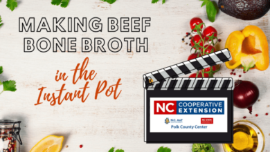 Beef bone broth in the instant pot