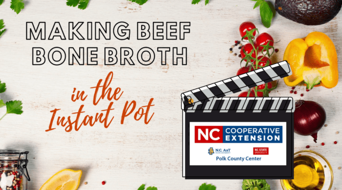 Beef bone broth in the instant pot