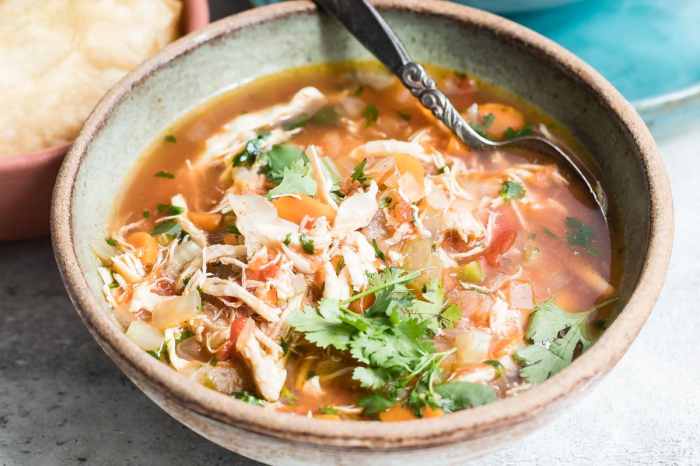 Caldo de pollo mexican chicken soup