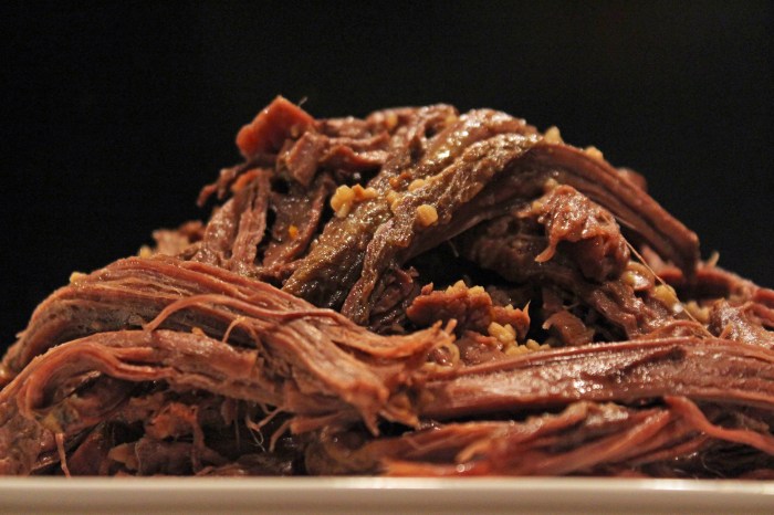 Slow cooker venison roast