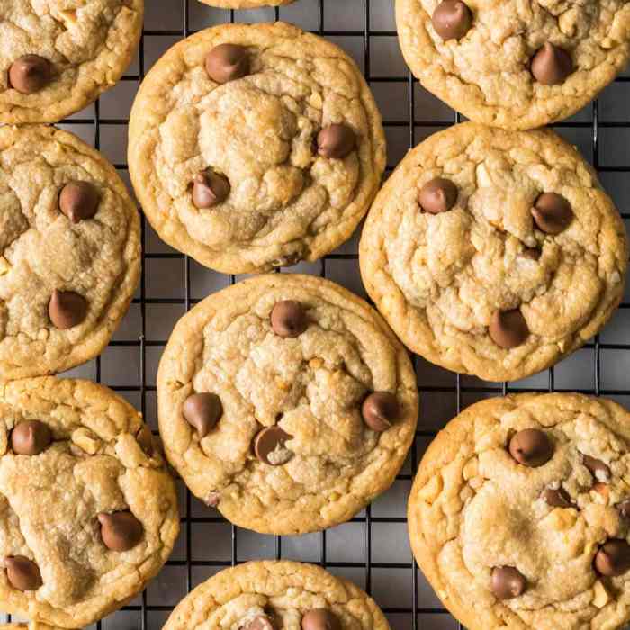 Thecookiedoughdiaries Peanut butter chocolate chip cookies ii