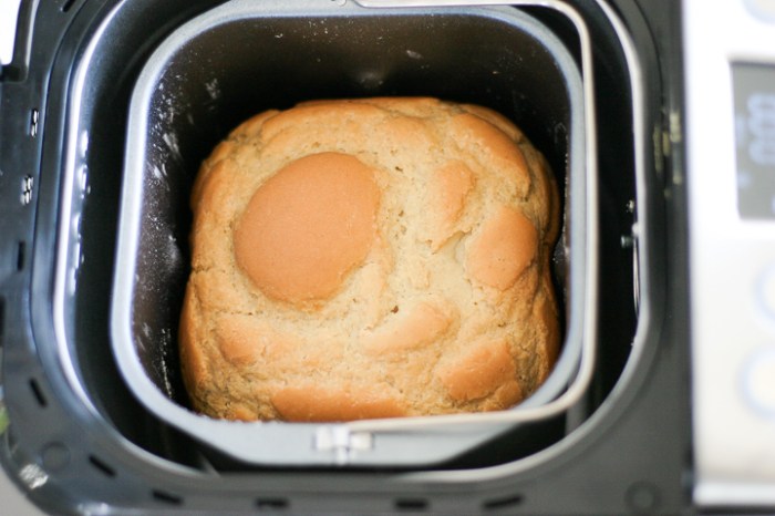 Gluten free bread in a bread machine