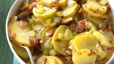 Traditional german warm potato salad