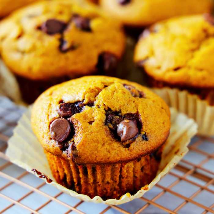 Pumpkin gut chocolate chip muffins