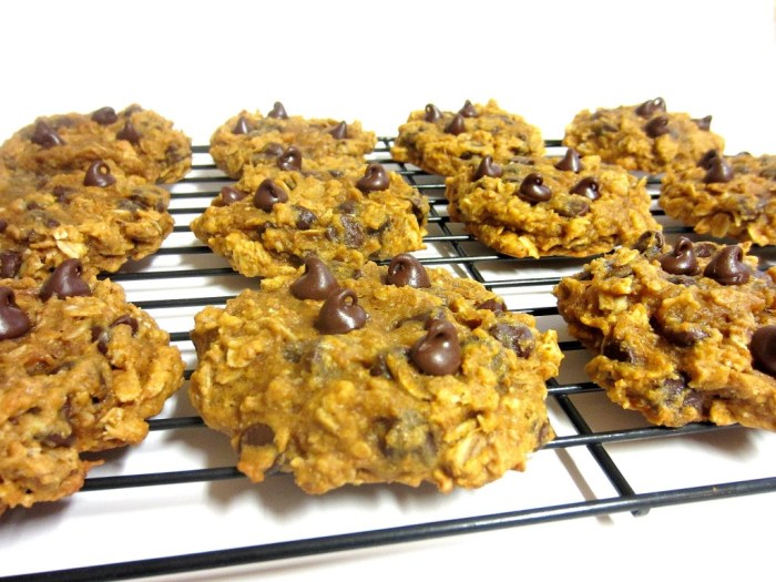 Pumpkin oatmeal chocolate chip cookies