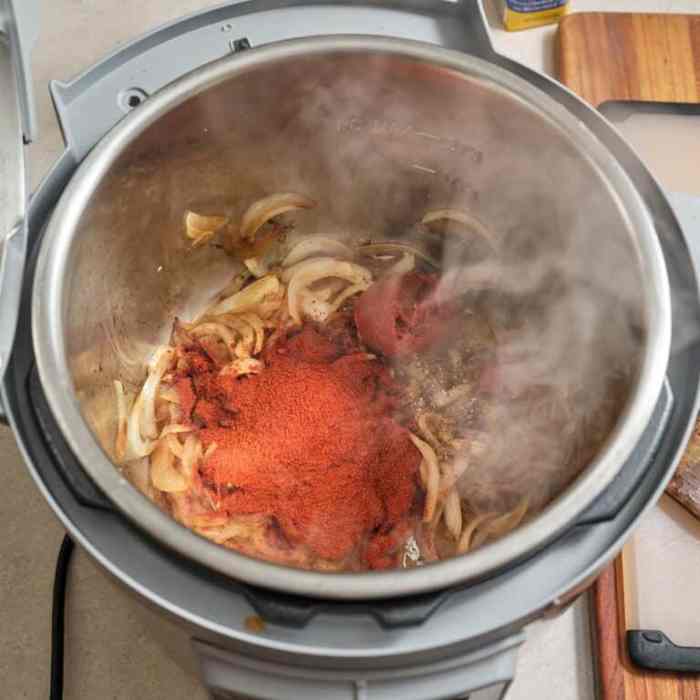 Instant pot chicken paprikash with egg noodles