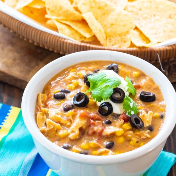 Slow cooker chicken taco soup