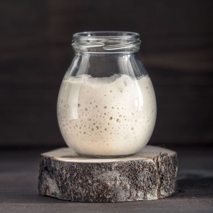 Amish friendship bread starter