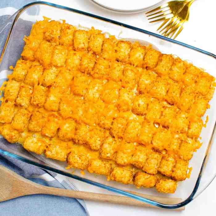 Tater tot casserole iv