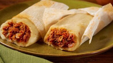 Red chicken tamales tamales rojos de pollo