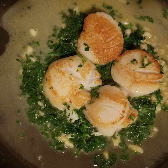 Bay scallops with garlic parsley butter sauce