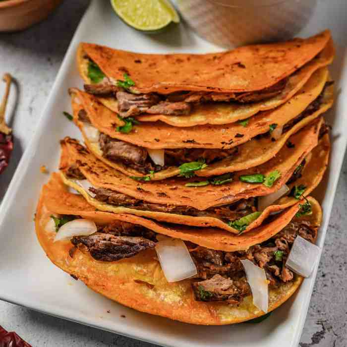 Birria de res tacos beef birria tacos