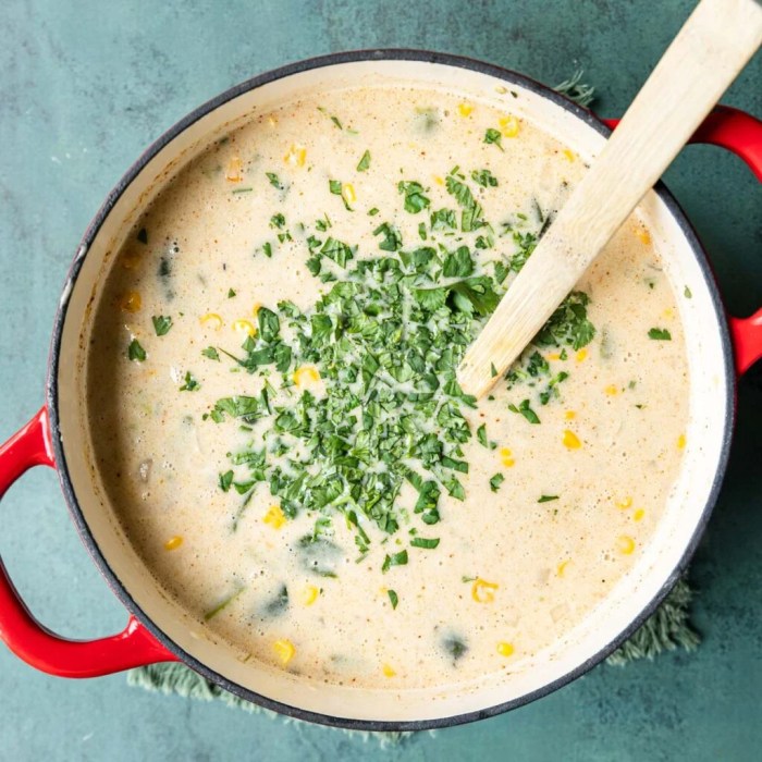 Poblano chicken cheese soup