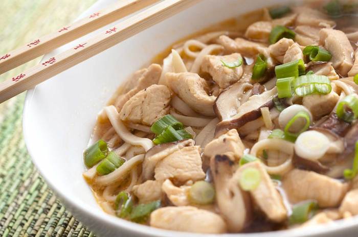 Chicken udon noodle soup