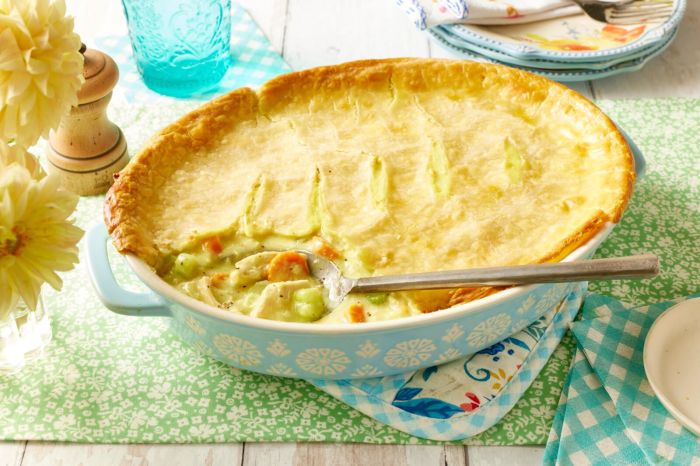 Chicken pot pie ii