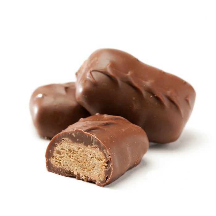 Crispy peanut butter chocolate log