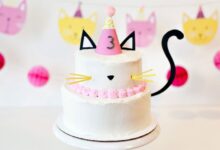 Birthday cake for your cat