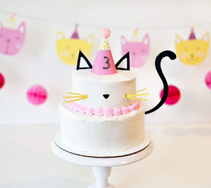 Birthday cake for your cat