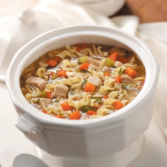 Turkey soup noodle slow cooker recipes