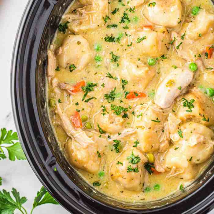 Slow cooker chicken and dumplings