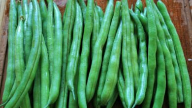 Fresh green beans with heaven sauce