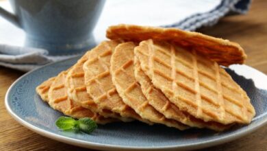 French cookies belgi galettes