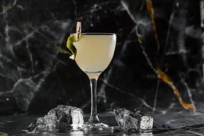 Sour key lime vodka gimlet