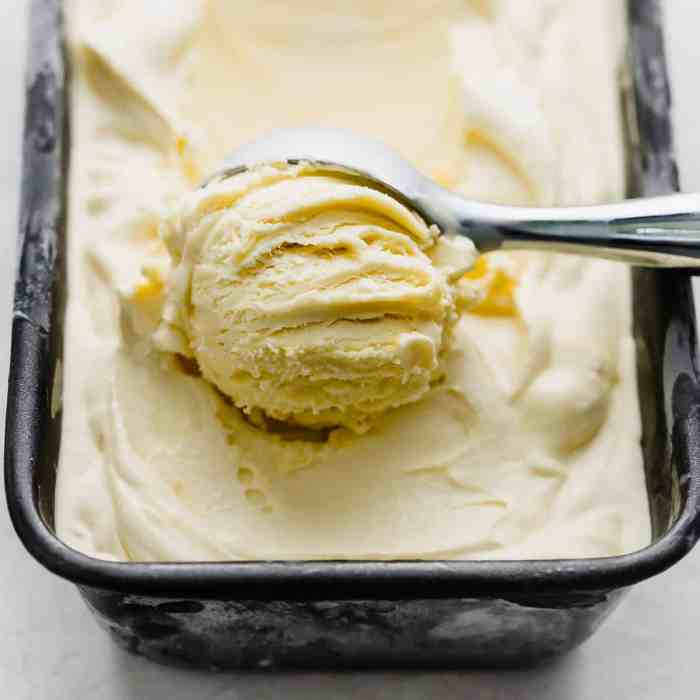Ice cream vanilla recipes sweetandsavorybyshinee contents hide