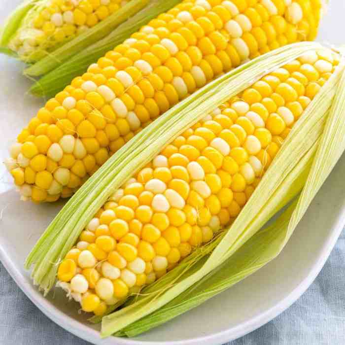 Grilled corn on the cob