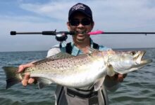 Speckled trout in capers and white wine