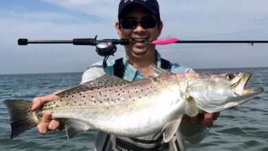 Speckled trout in capers and white wine