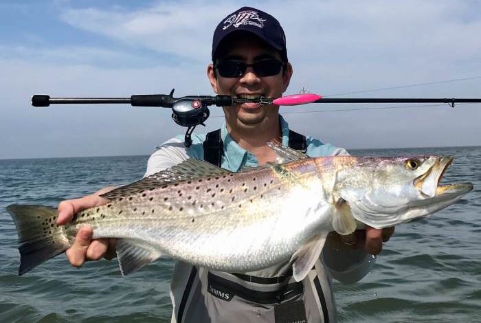 Speckled trout in capers and white wine