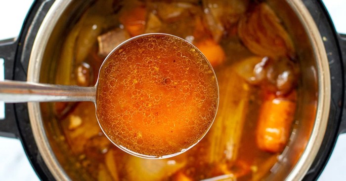 Beef bone broth in the instant pot