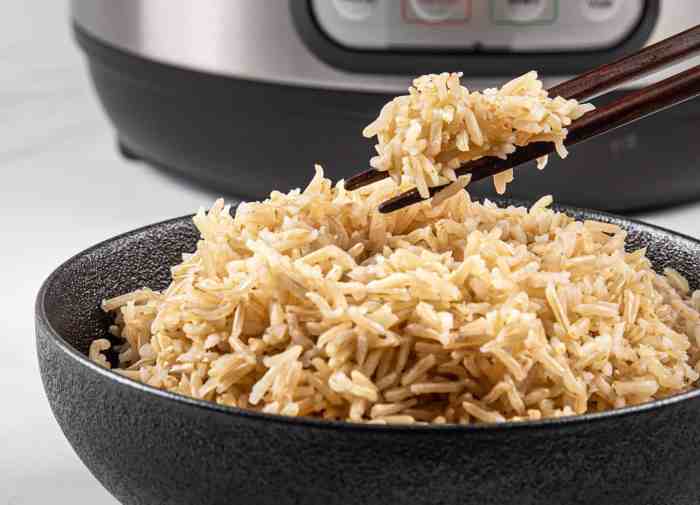 Instant pot brown rice