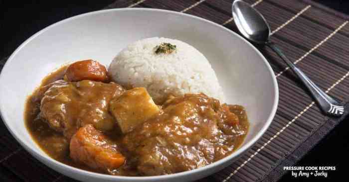 Instant pot japanese curry