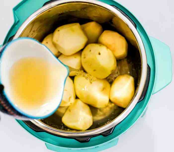 Instant pot leek mashed potatoes