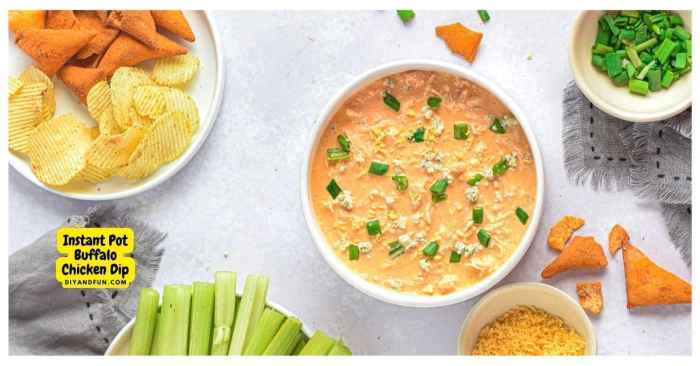 Instant pot no stress buffalo chicken dip