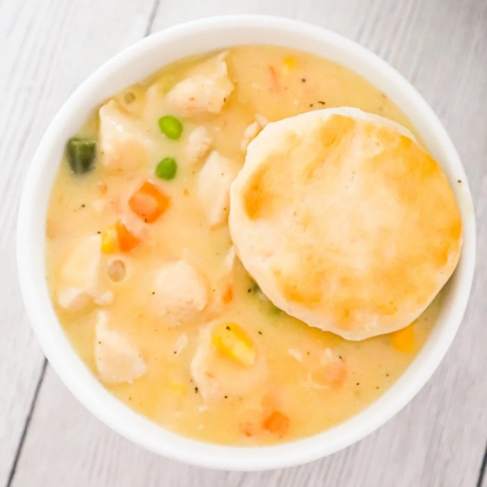 Instant pot chicken pot pie crustless and gluten free