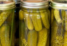 Fermented kosher style dill pickles