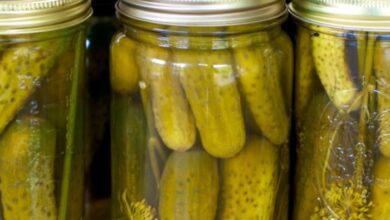 Fermented kosher style dill pickles