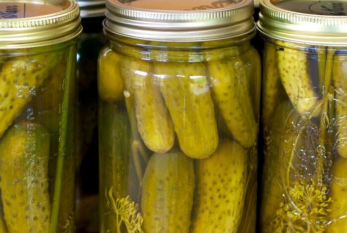 Fermented kosher style dill pickles