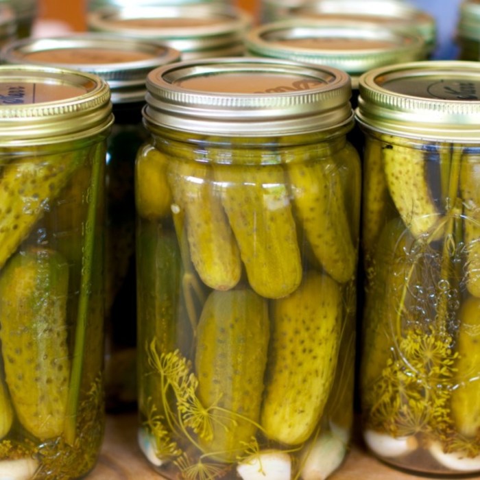 Fermented kosher style dill pickles