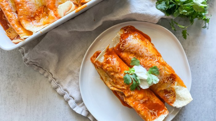 Refried enchiladas bloomer carolyn sykora sister