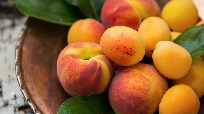 Peach tartlets with apricot glaze