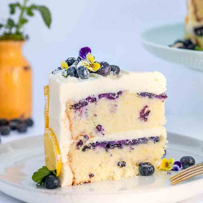 Blueberry lemon cake with buttercream frosting