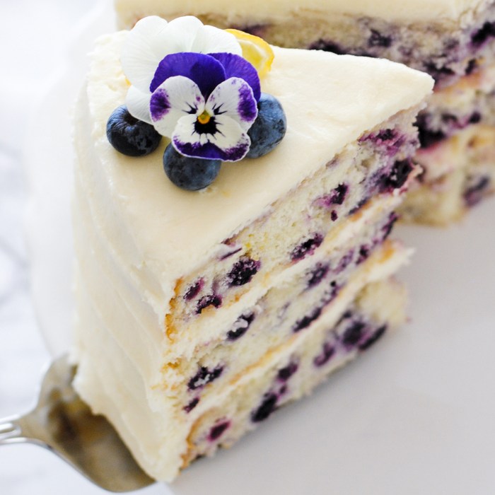 Melt in your mouth blueberry cake